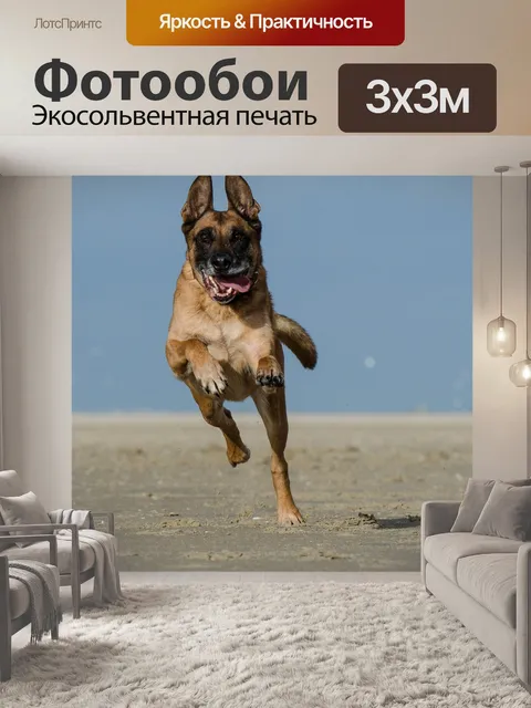 Фотообои Малинуа