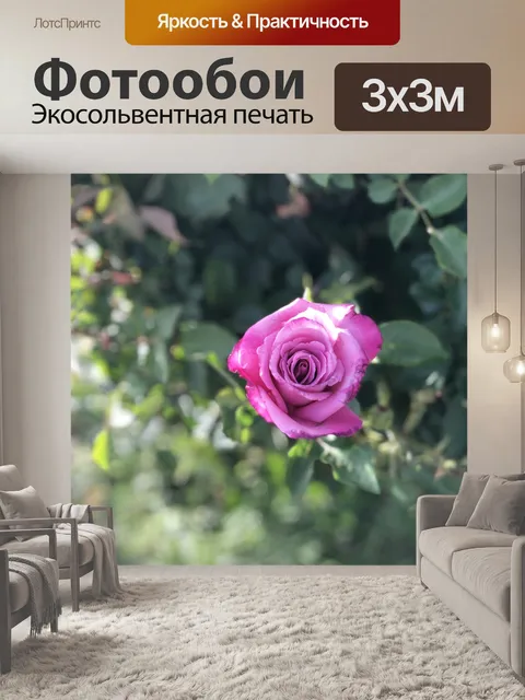 Фотообои Роза