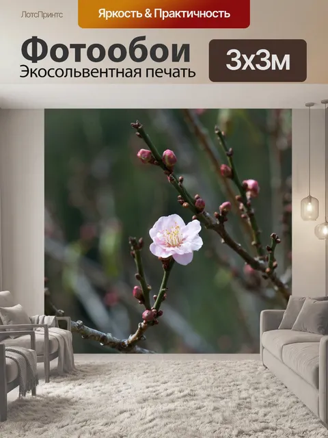 Фотообои Цветение персика