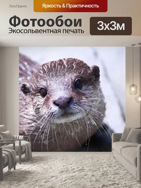 Фотообои Выдра