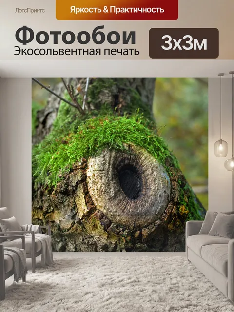 Фотообои Войти лесу