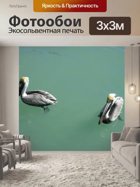 Фотообои Пеликан