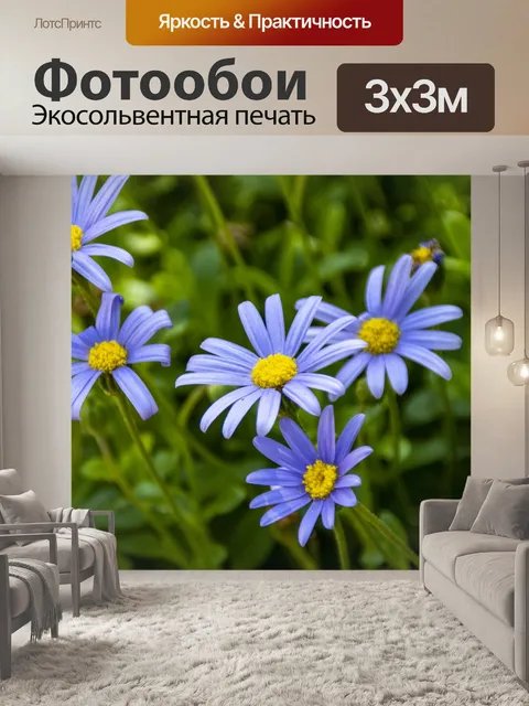 Фотообои голубые цветы ромашки