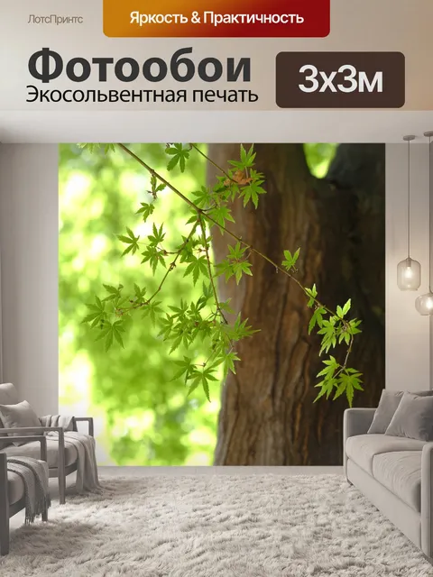 Фотообои Куриные ножки кленовый