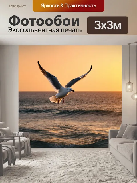 Фотообои чайка, летящая над океаном на закате
