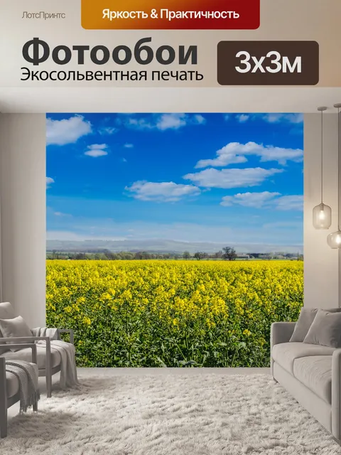 Фотообои Цветы луговые и голубое небо