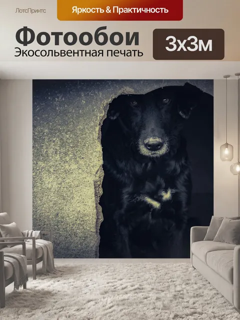 Фотообои Собака