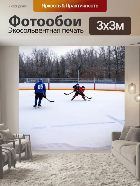 Фотообои удаленная сельская площадка для хоккея