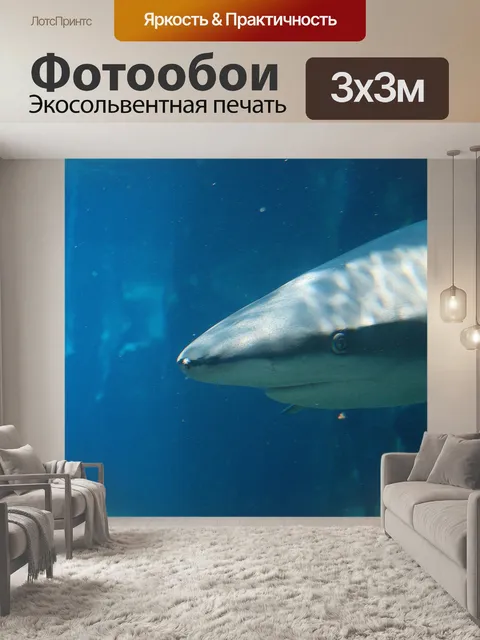 Фотообои акула в Ushaka морской мир