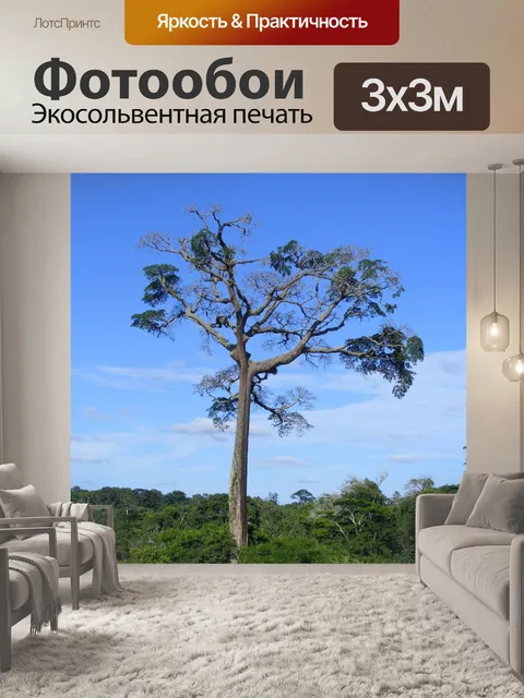 Фотообои Моаби