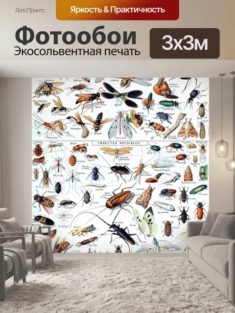 Фотообои Насекомые старого винтажного искусства