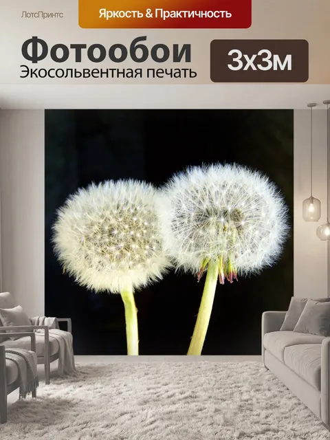 Фотообои Халат одуванчик