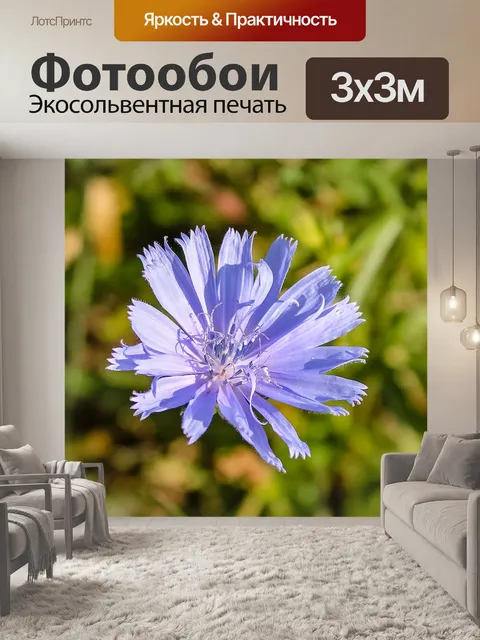 Фотообои Уайлдфлауэр