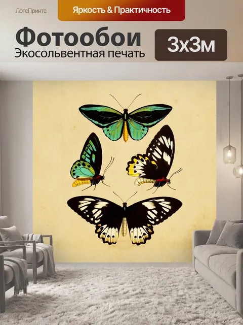 Фотообои Бабочки Винтаж Арт Принт