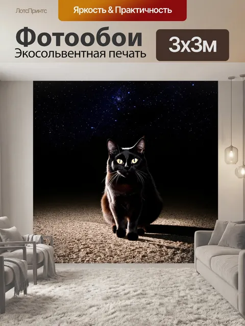 Фотообои ночной черный кот, наблюдающий за звездным небом, отбрасывающий глубокие тени на земле