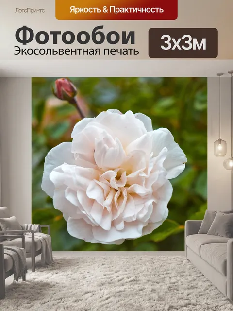 Фотообои Цветок