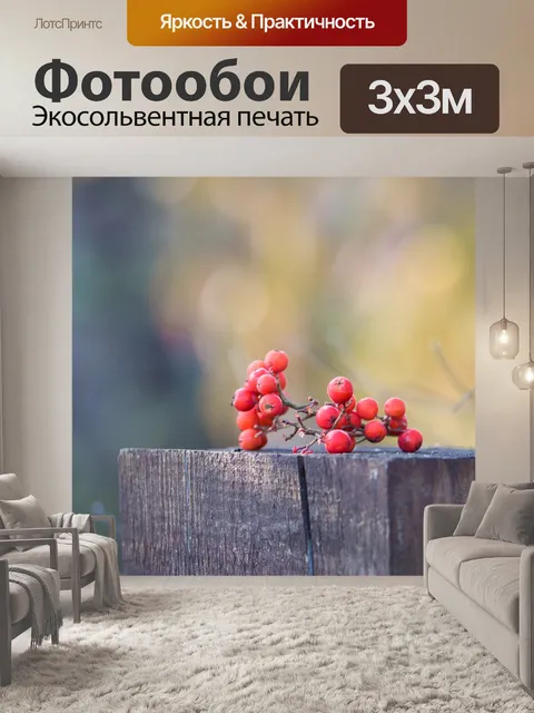 Фотообои Рябина