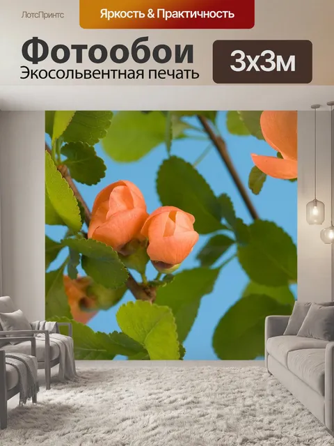 Фотообои Бутон