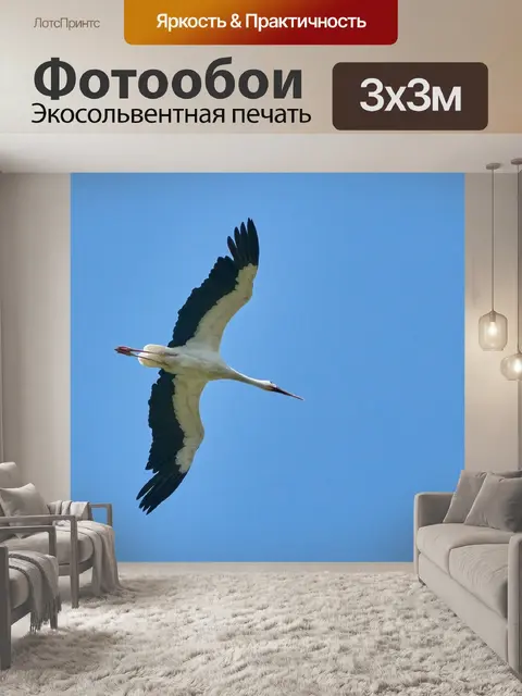 Фотообои Аист