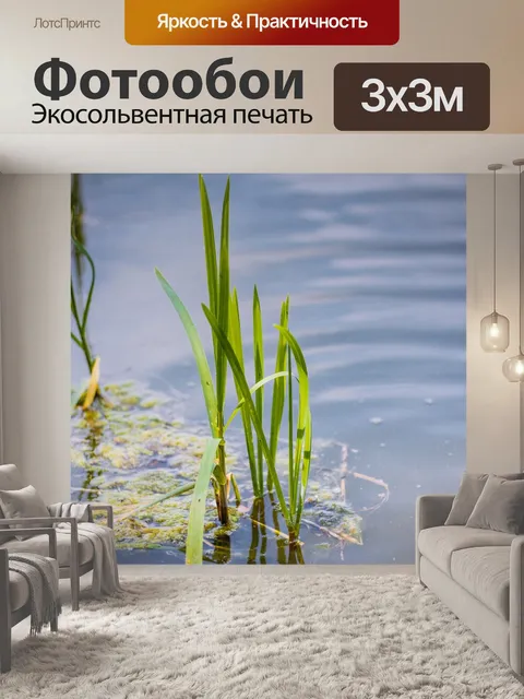 Фотообои Вода