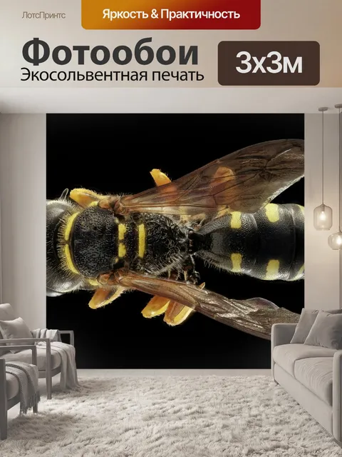 Фотообои Оса на черном