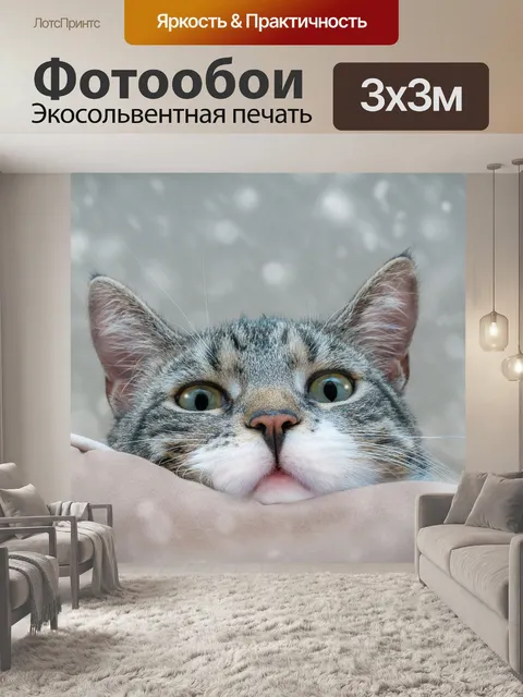 Фотообои Кошка