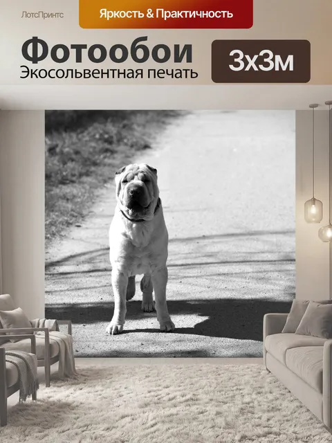 Фотообои Собачья собака
