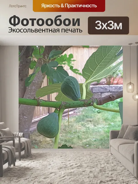 Фотообои Фиговое дерево 1