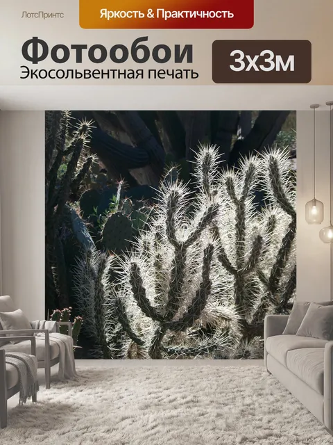 Фотообои Аризона