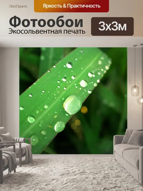 Фотообои Капля воды на листе