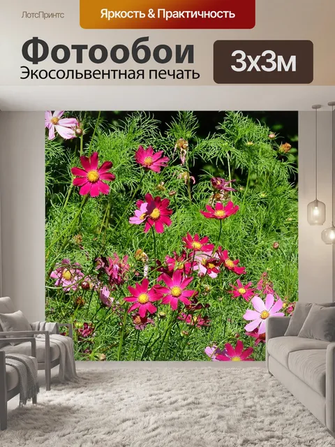 Фотообои Розовые цветы