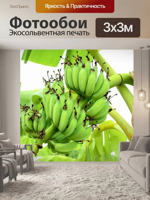 Фотообои Гроздь созревания бананового дерева