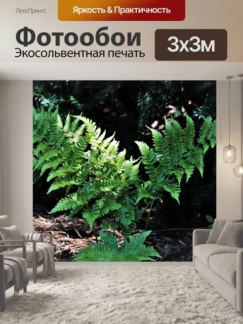 Фотообои Солнечный свет на зеленом папоротнике