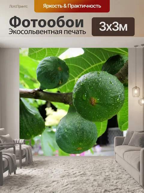 Фотообои мокрые инжир