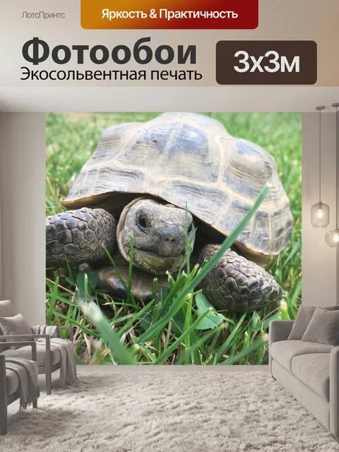Фотообои Черепаха