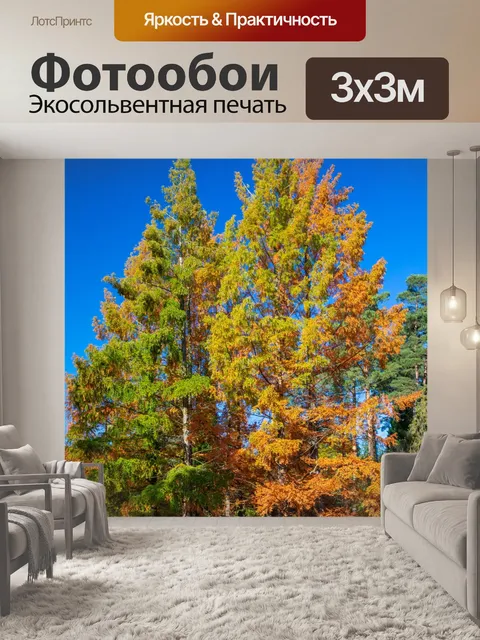Фотообои Деревья осенью