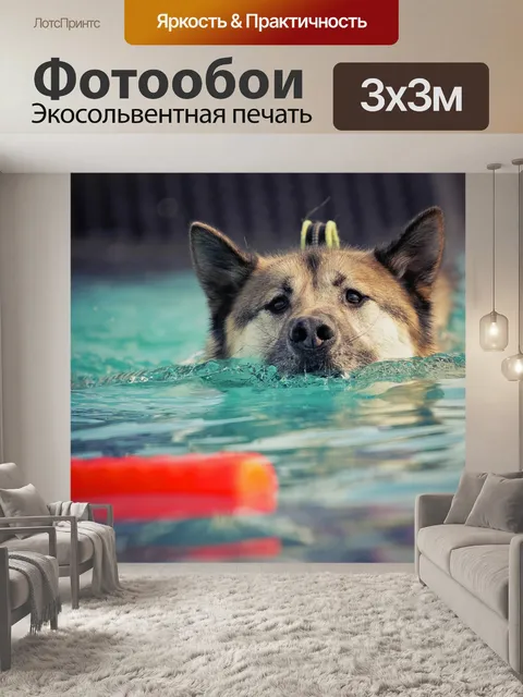 Фотообои Собака