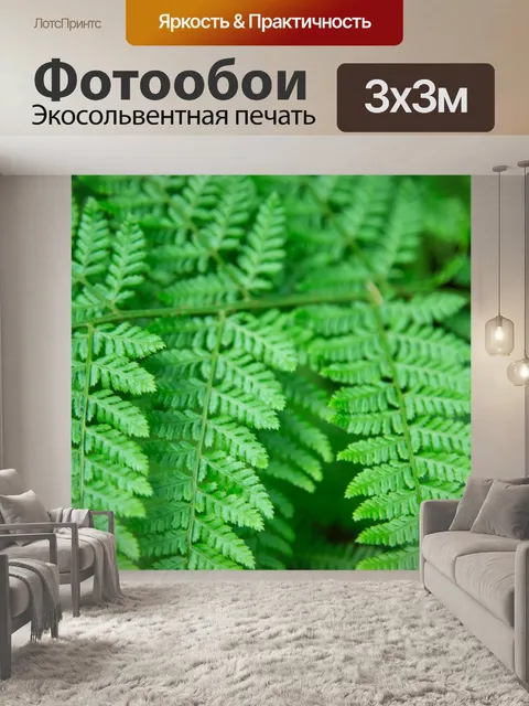 Фотообои папоротник