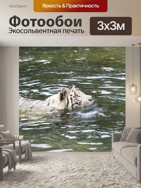 Фотообои белый тигр
