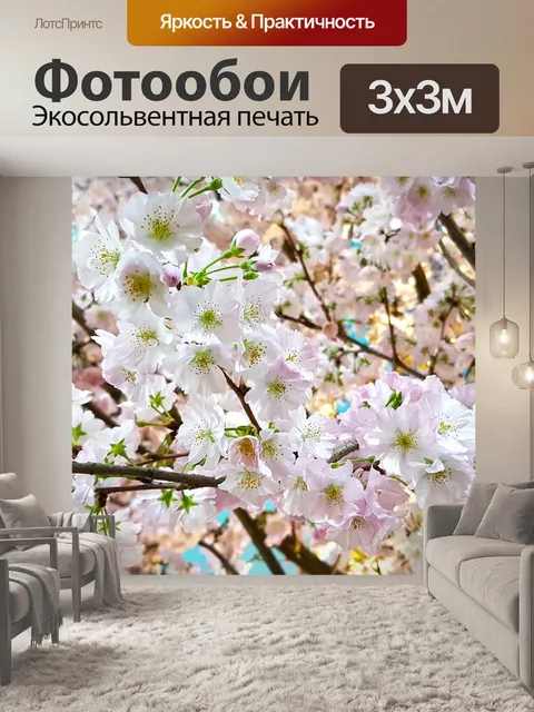 Фотообои Сакура