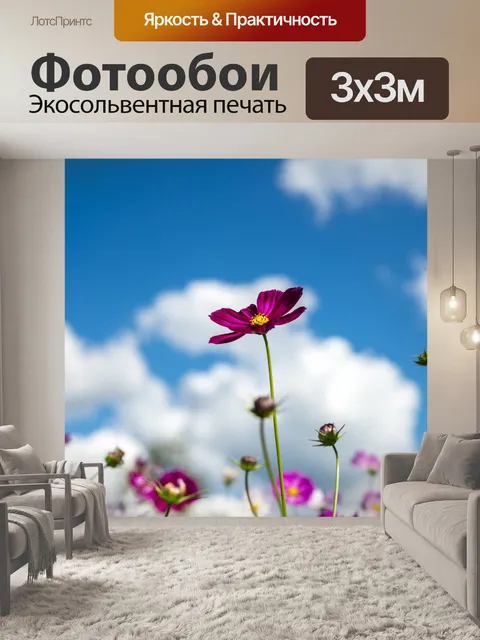 Фотообои Космос