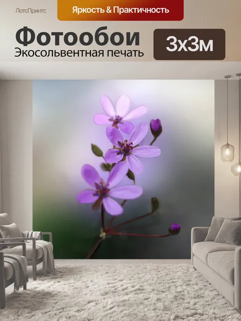 Фотообои Цветок