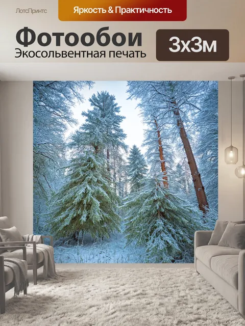 Фотообои зимний лес с инеем на деревьях