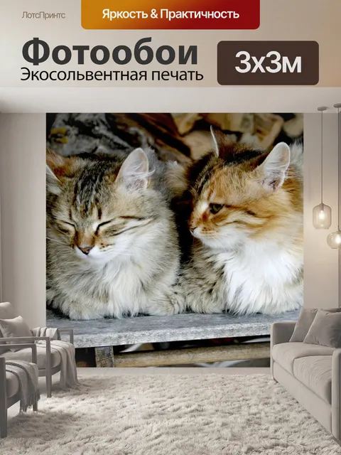 Фотообои Милый
