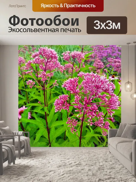 Фотообои Цветы полевые цветы розовый розовый