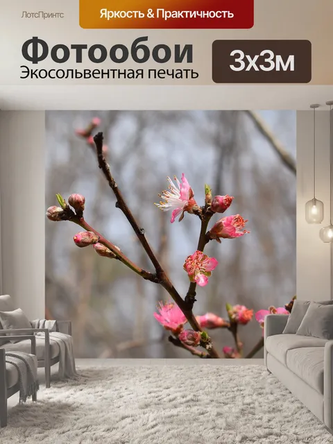 Фотообои Персиковый цвет