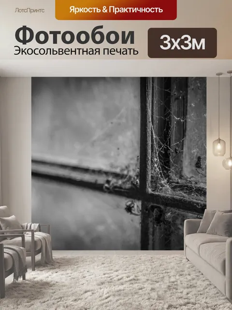 Фотообои паутина