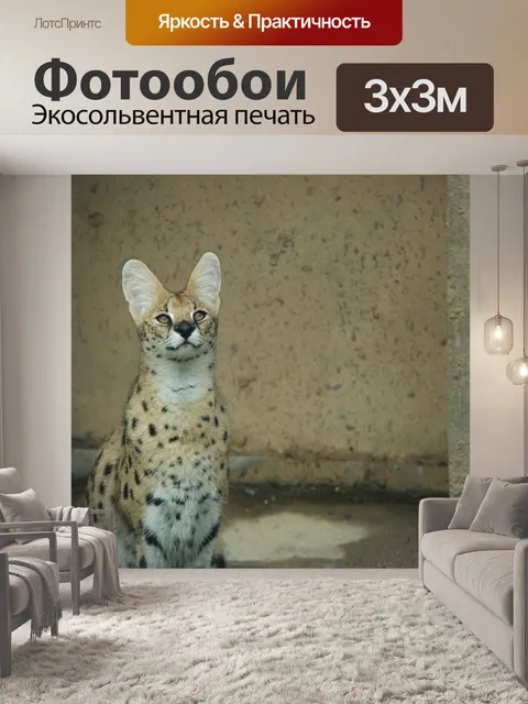 Фотообои Сервал