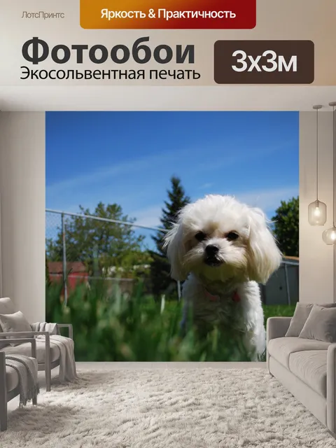 Фотообои Милый щенок