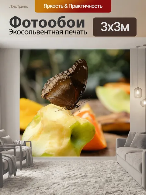 Фотообои Бабочки 10